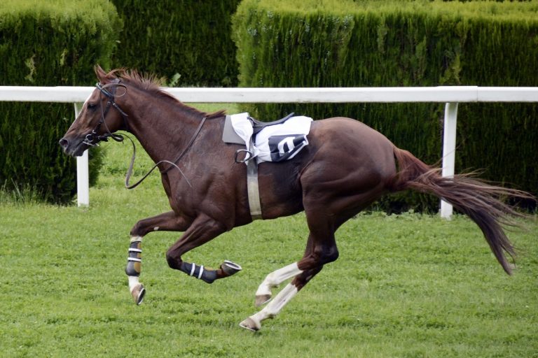 Stunning images from racing's photographer of the year