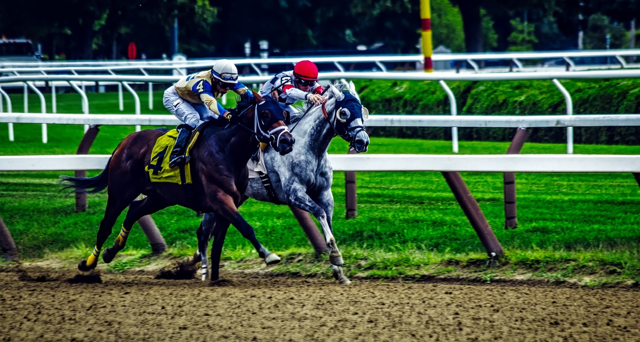 Track New York Panorama Dirt Horse Stallion 783759 Pxhere.com 