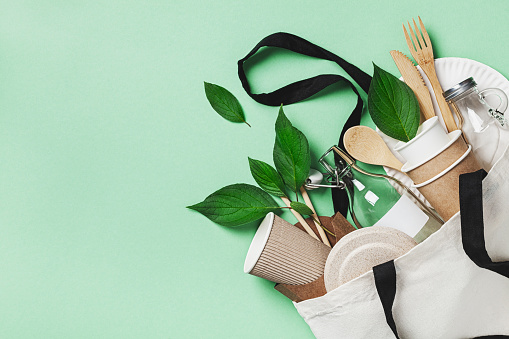 The Intersection of Health and Sustainability: Unveiling the Truth about Eco-Friendly Products