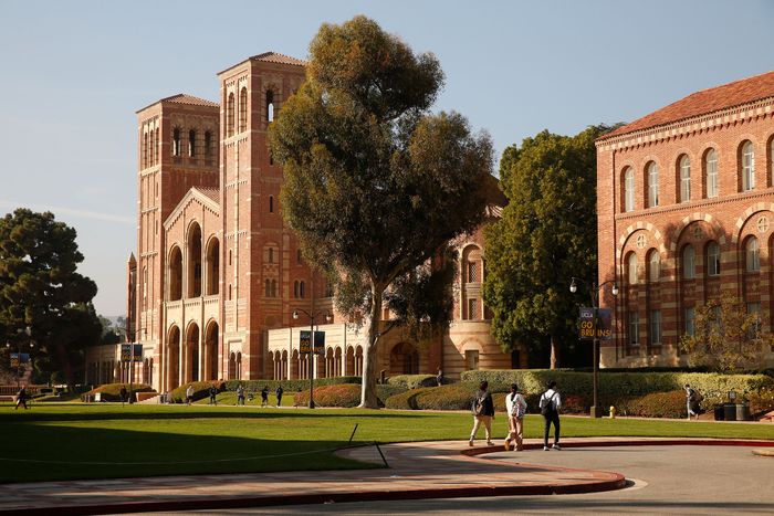 Unraveling the Excellence: Why UCLA Reigns as the Top University